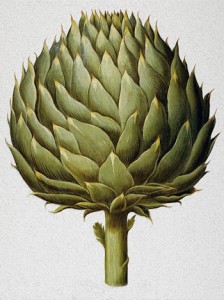 artichoke2