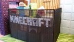 Minecraft-plastic-canvas-carrying-case